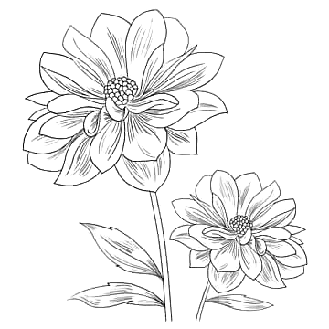 Background decoration